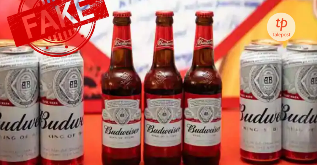 budweiser beer