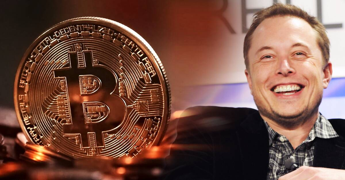 elon musk buys bitcoin 2022