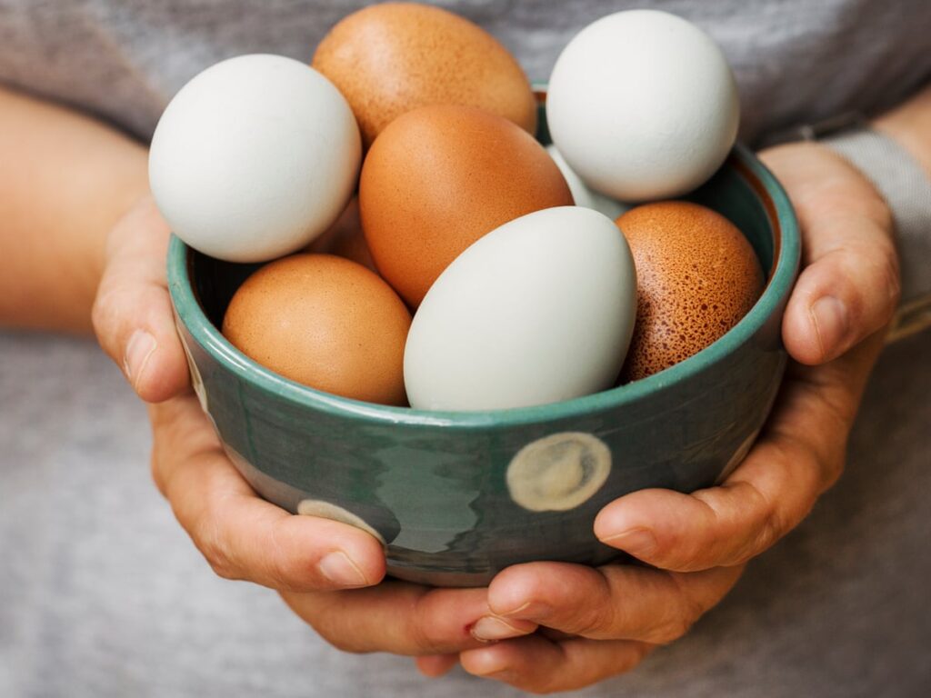 Eggs as Weight Reduction Food 