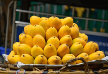 10 Unknown Benefits Of Mango; Learn All About Its Marvelous Ingredients Benefits of Mango